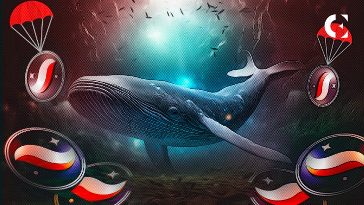 Starknet Token Launch Left in Mystery as Whale Receives Mammoth Airdrop