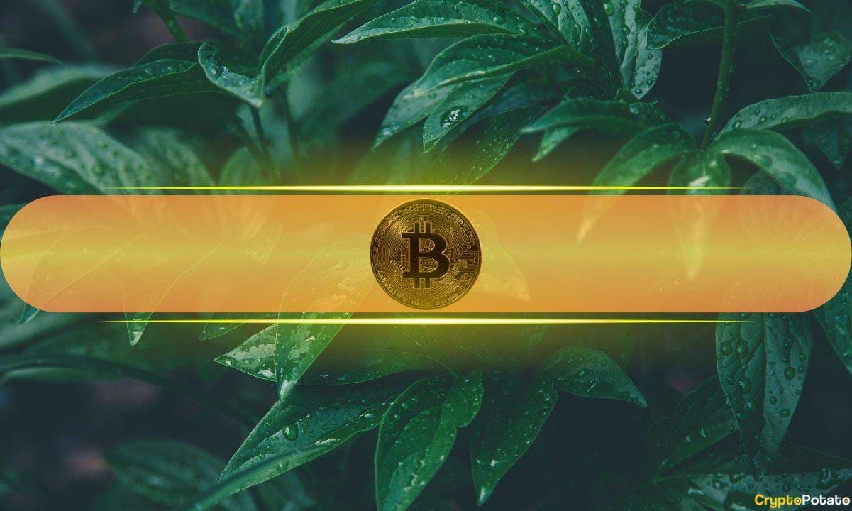 This Has to Happen for Bitcoin to Soar Past $58K: Santiment