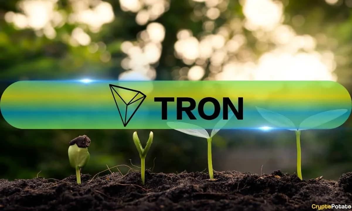 8th Month in a Row: Tron Network’s Transactions Continue to Grow in 2024