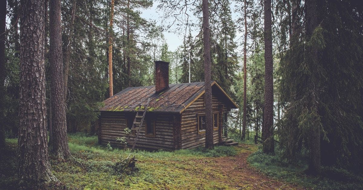 Coliving Project Cabin Wants to Put Digital Nomads in Nature